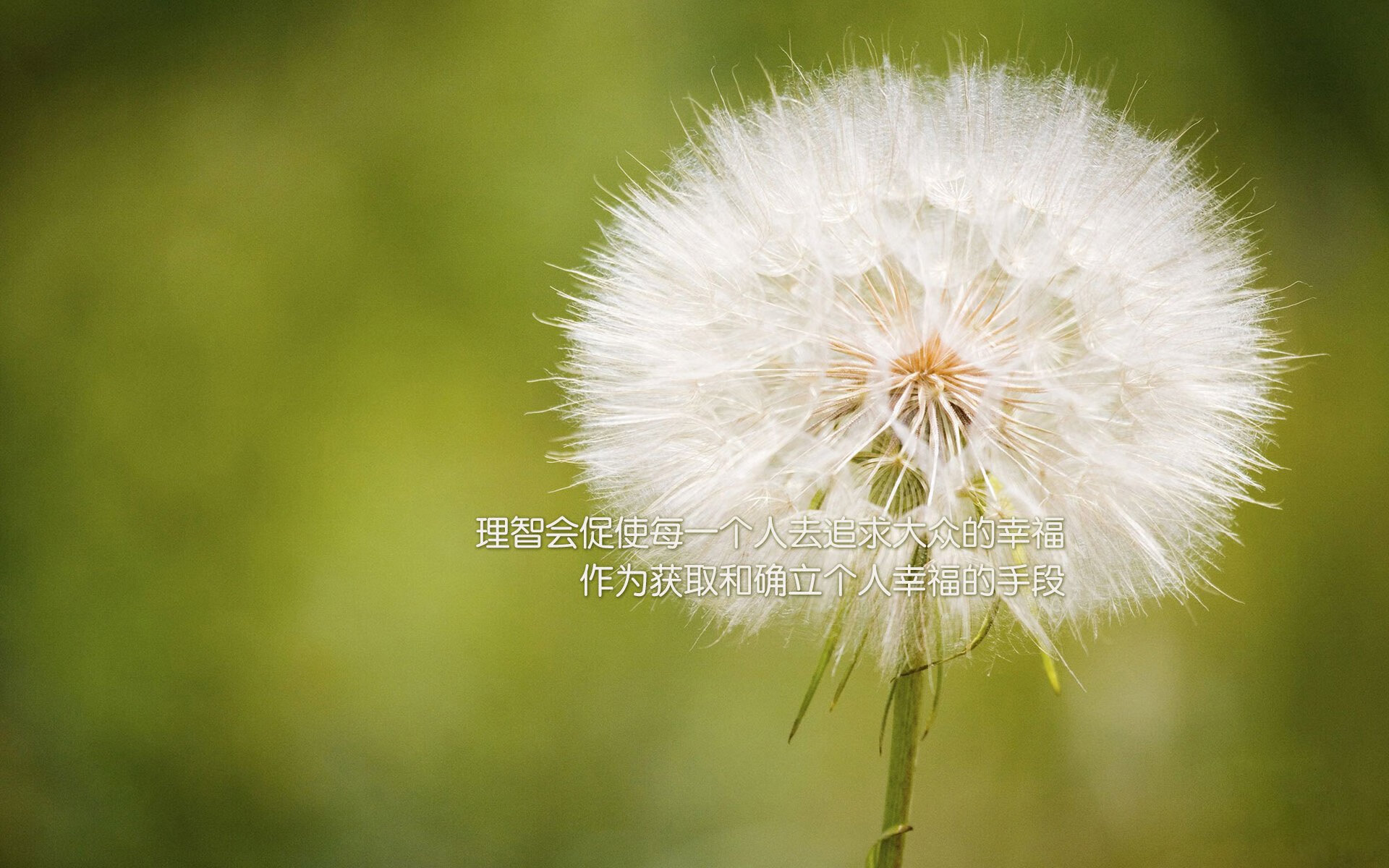 一周热评五大体坛争议事件盘点，体坛大事记