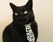 东亚杯国足夺冠 球迷情绪达到顶点，东亚杯男足比赛时间